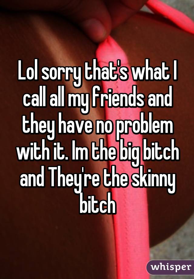 Lol sorry that's what I call all my friends and they have no problem with it. Im the big bitch and They're the skinny bitch