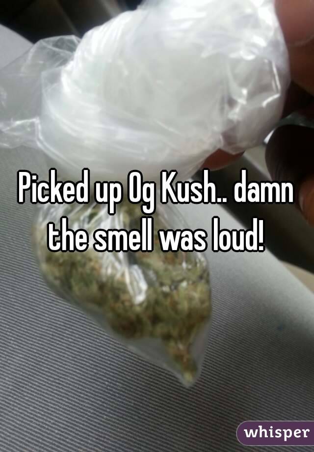 Picked up Og Kush.. damn the smell was loud! 