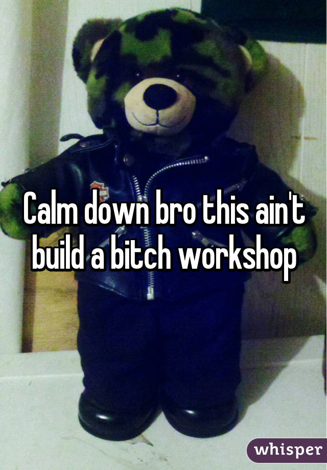 Calm down bro this ain't build a bitch workshop