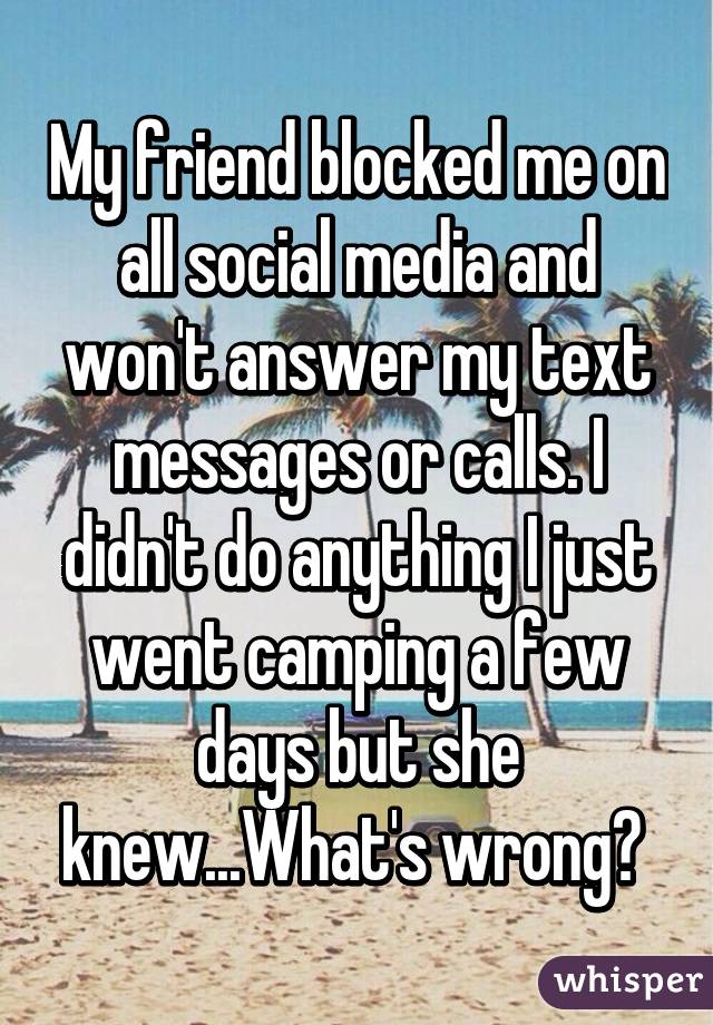 My friend blocked me on all social media and won't answer my text messages or calls. I didn't do anything I just went camping a few days but she knew...What's wrong? 