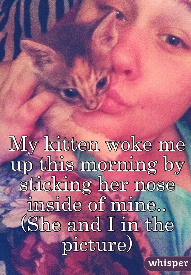 My kitten woke me up this morning by sticking her nose inside of mine.. (She and I in the picture) 