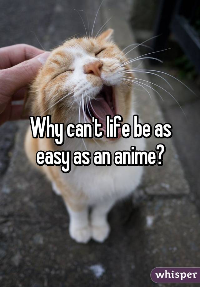 Why can't life be as easy as an anime?