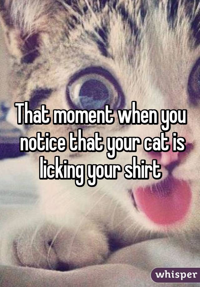 That moment when you  notice that your cat is licking your shirt