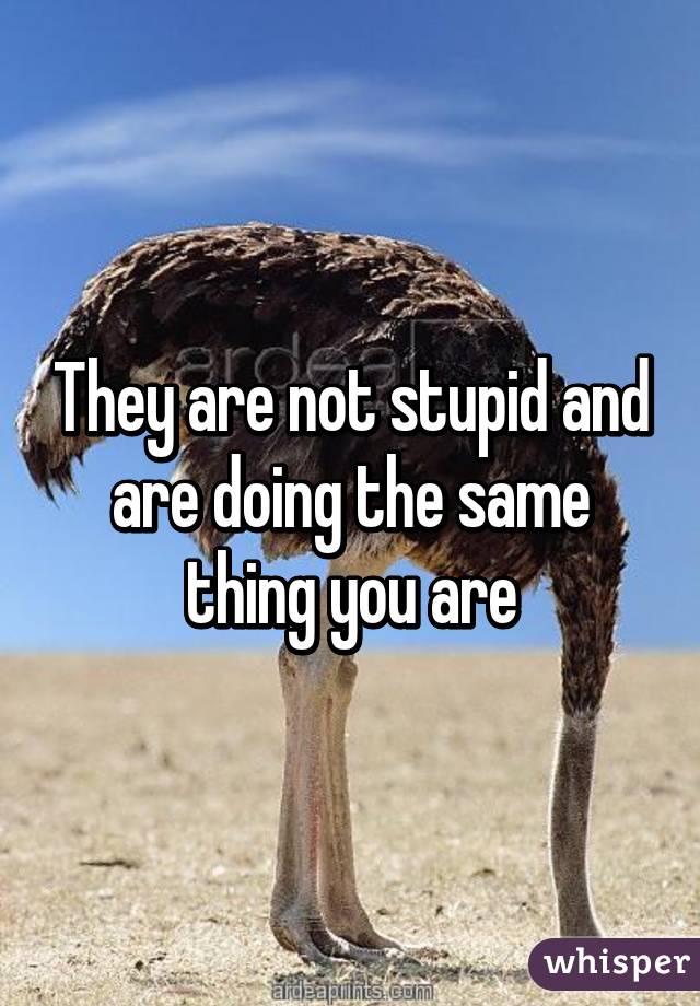 They are not stupid and are doing the same thing you are