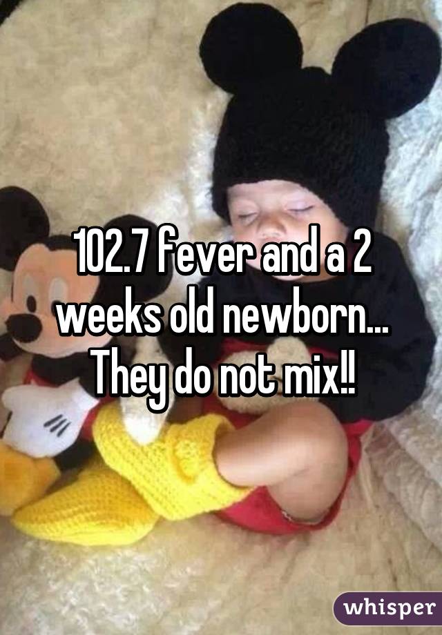 102.7 fever and a 2 weeks old newborn... They do not mix!!