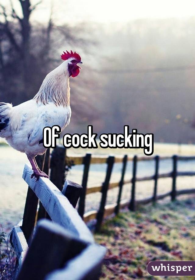 Of cock sucking