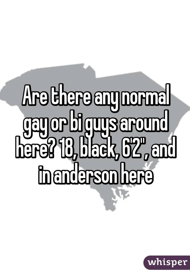 Are there any normal gay or bi guys around here? 18, black, 6'2", and in anderson here