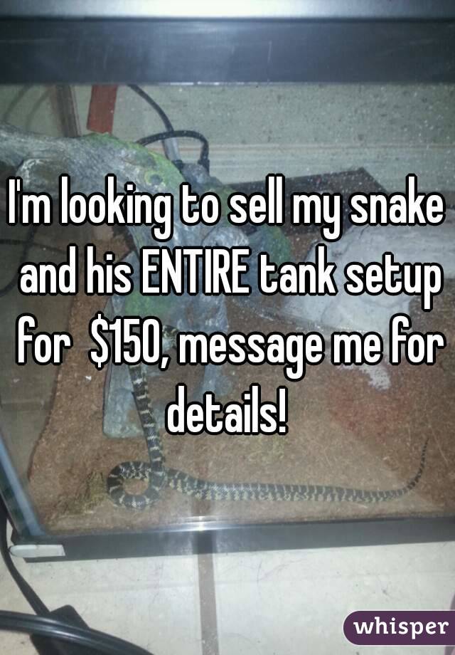 I'm looking to sell my snake and his ENTIRE tank setup for  $150, message me for details! 