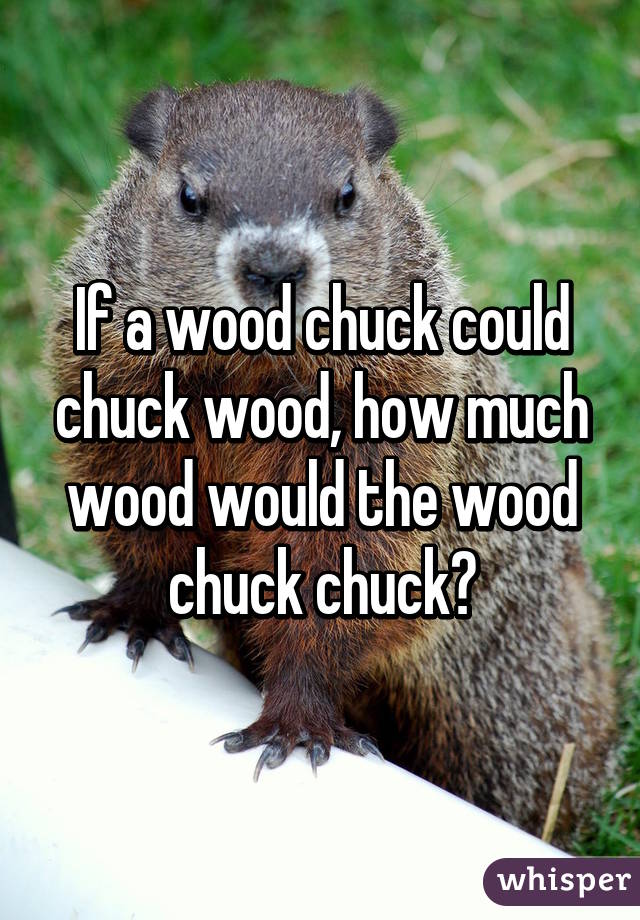 If a wood chuck could chuck wood, how much wood would the wood chuck chuck?