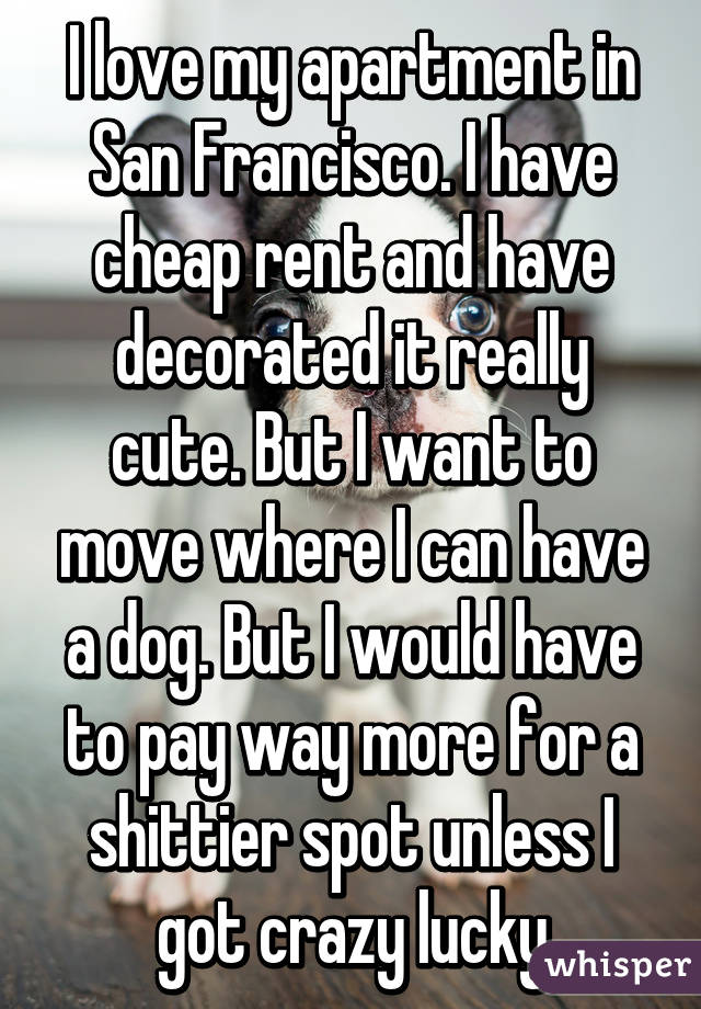 I love my apartment in San Francisco. I have cheap rent and have decorated it really cute. But I want to move where I can have a dog. But I would have to pay way more for a shittier spot unless I got crazy lucky