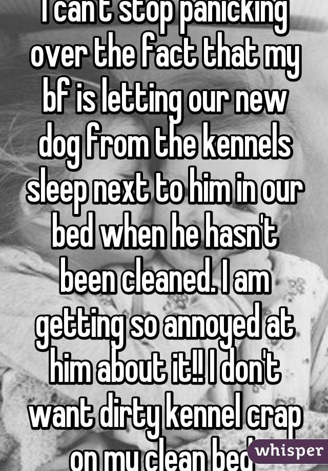 I can't stop panicking over the fact that my bf is letting our new dog from the kennels sleep next to him in our bed when he hasn't been cleaned. I am getting so annoyed at him about it!! I don't want dirty kennel crap on my clean bed 