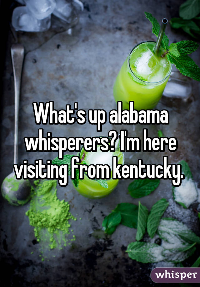 What's up alabama whisperers? I'm here visiting from kentucky. 