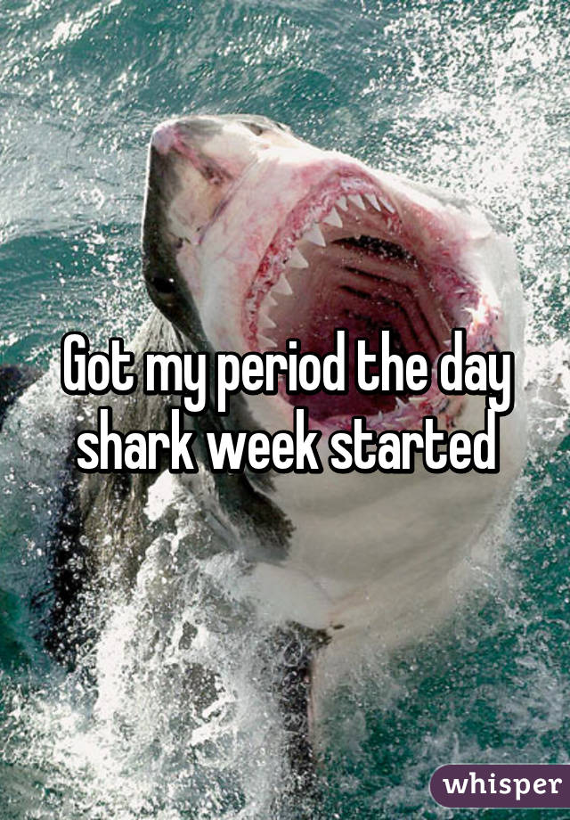 Got my period the day shark week started