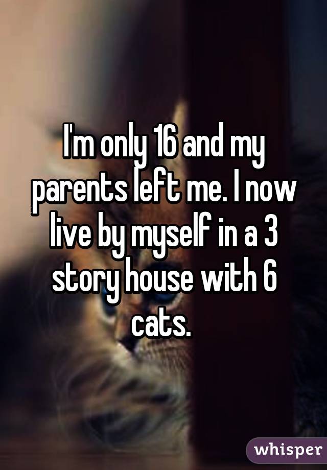 I'm only 16 and my parents left me. I now live by myself in a 3 story house with 6 cats. 