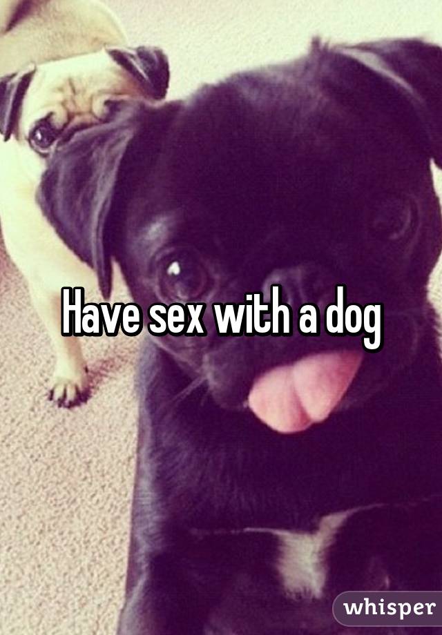 Have sex with a dog