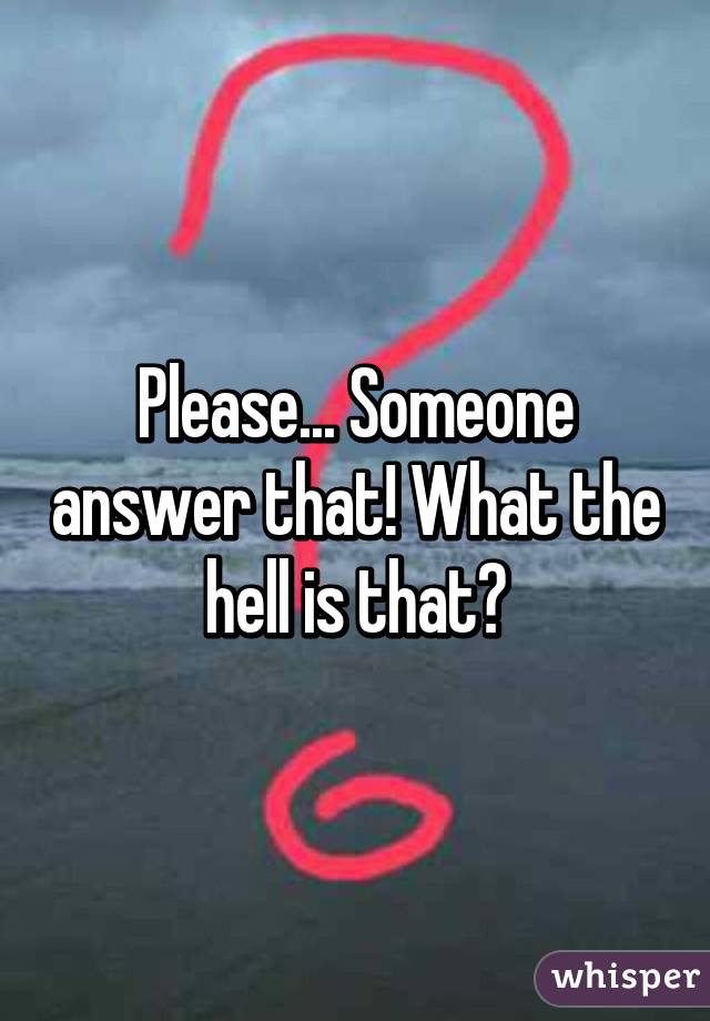 Please... Someone answer that! What the hell is that?