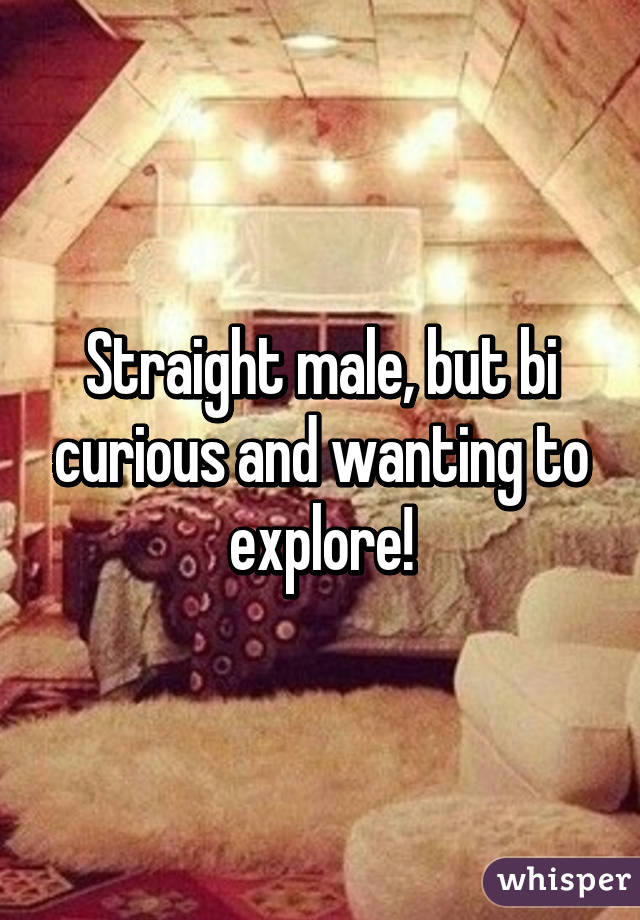 Straight male, but bi curious and wanting to explore!