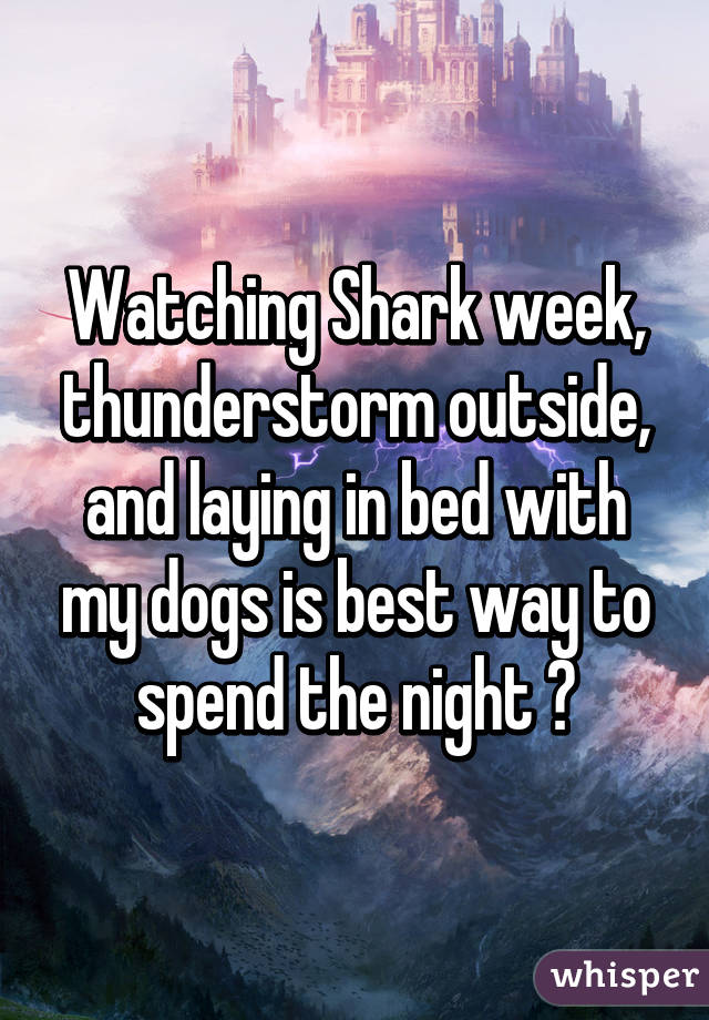 Watching Shark week, thunderstorm outside, and laying in bed with my dogs is best way to spend the night 👌