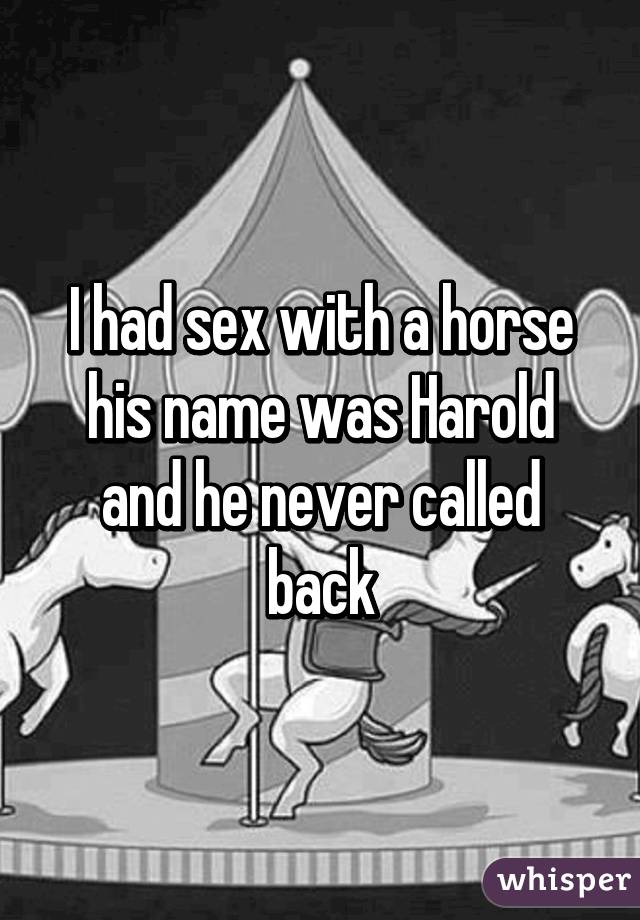 I had sex with a horse his name was Harold and he never called back