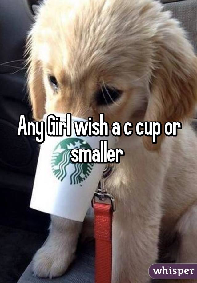 Any Girl wish a c cup or smaller 