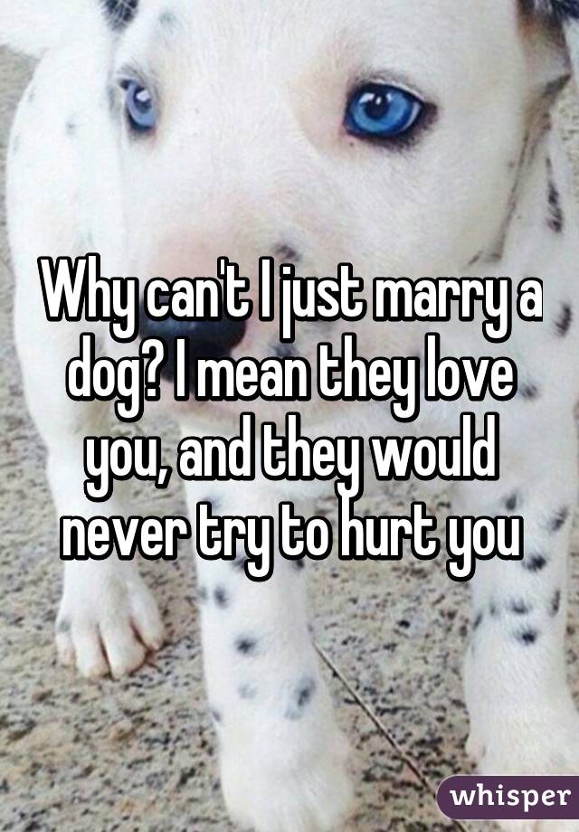 Why can't I just marry a dog? I mean they love you, and they would never try to hurt you