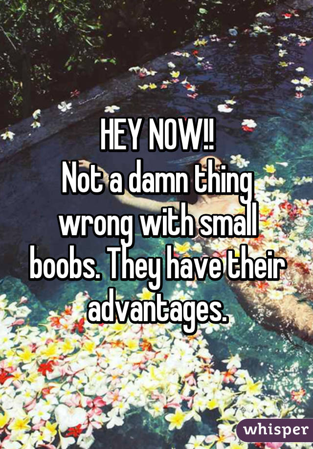 HEY NOW!!
Not a damn thing wrong with small boobs. They have their advantages.