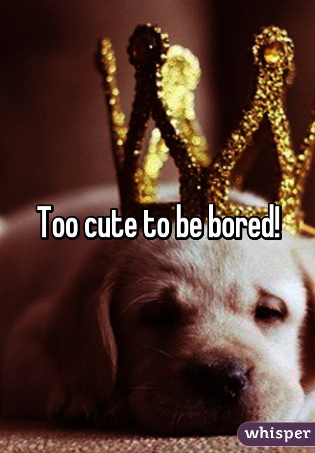 Too cute to be bored!