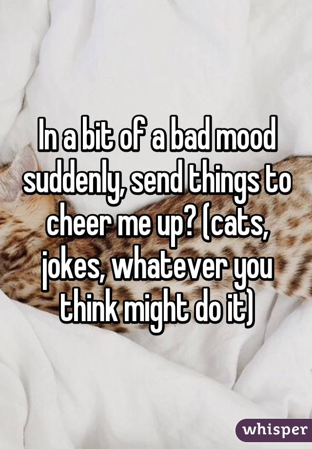 In a bit of a bad mood suddenly, send things to cheer me up? (cats, jokes, whatever you think might do it)