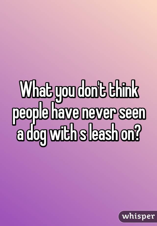 What you don't think people have never seen a dog with s leash on?
