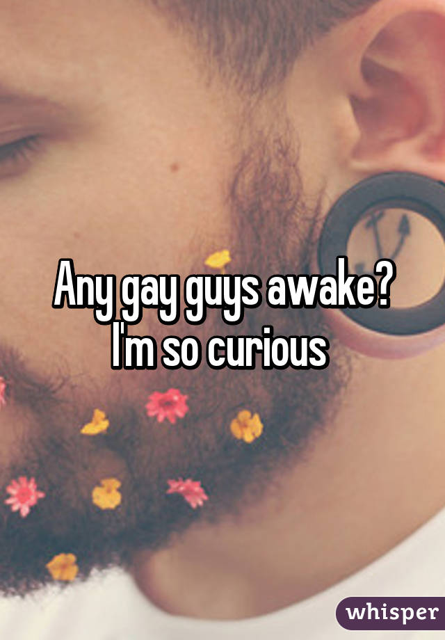 Any gay guys awake? I'm so curious 