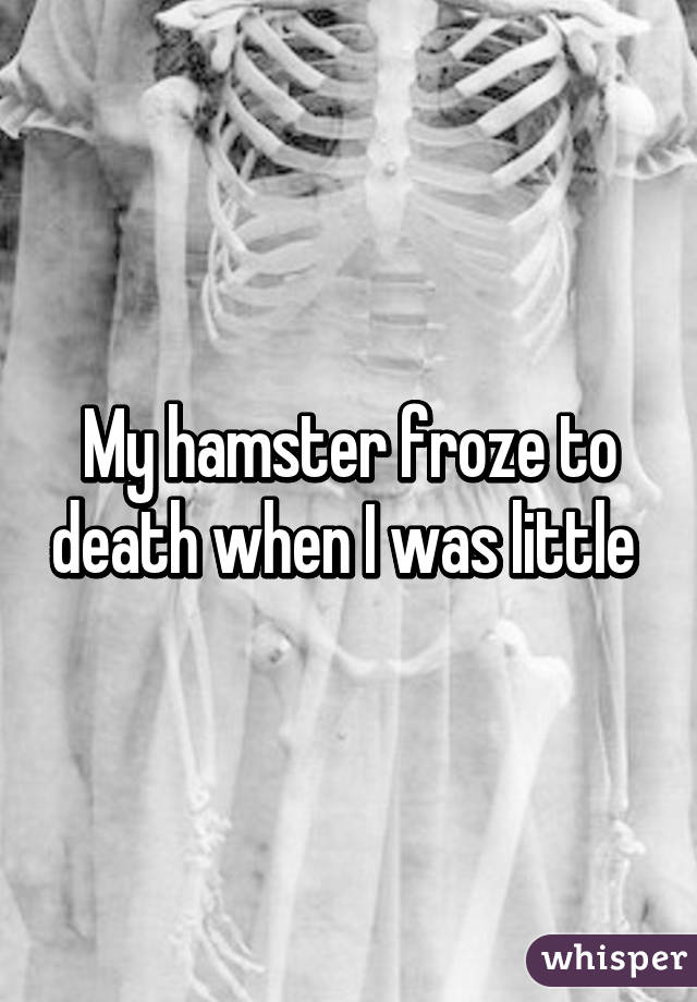 My hamster froze to death when I was little 