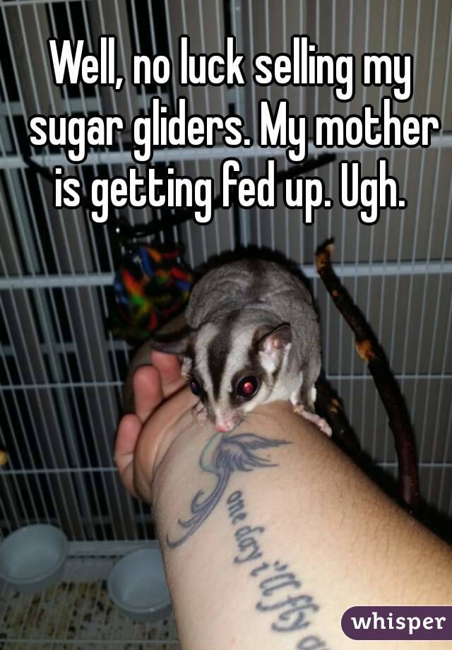 Well, no luck selling my sugar gliders. My mother is getting fed up. Ugh. 