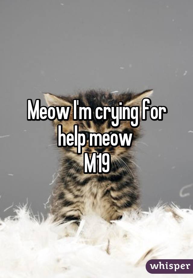 Meow I'm crying for help meow 
M19