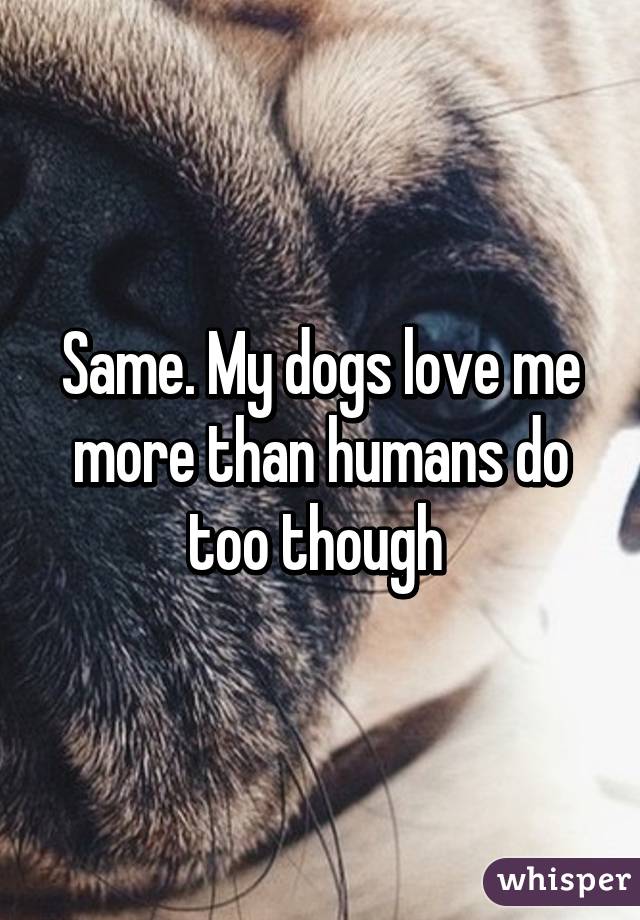 Same. My dogs love me more than humans do too though 