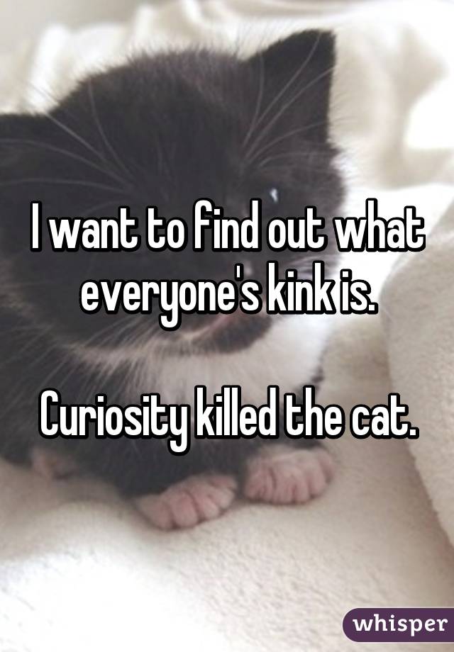 I want to find out what everyone's kink is.

Curiosity killed the cat.