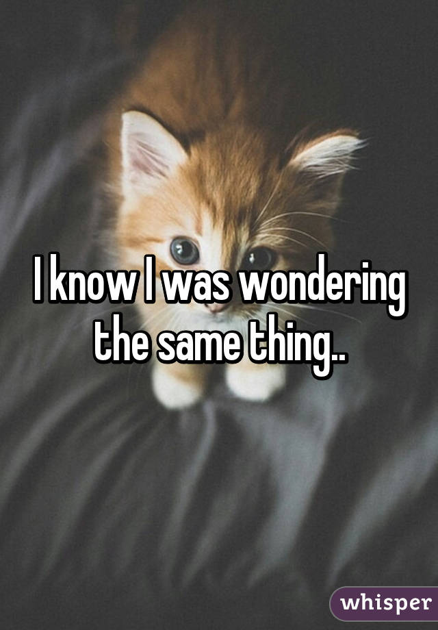 I know I was wondering the same thing..