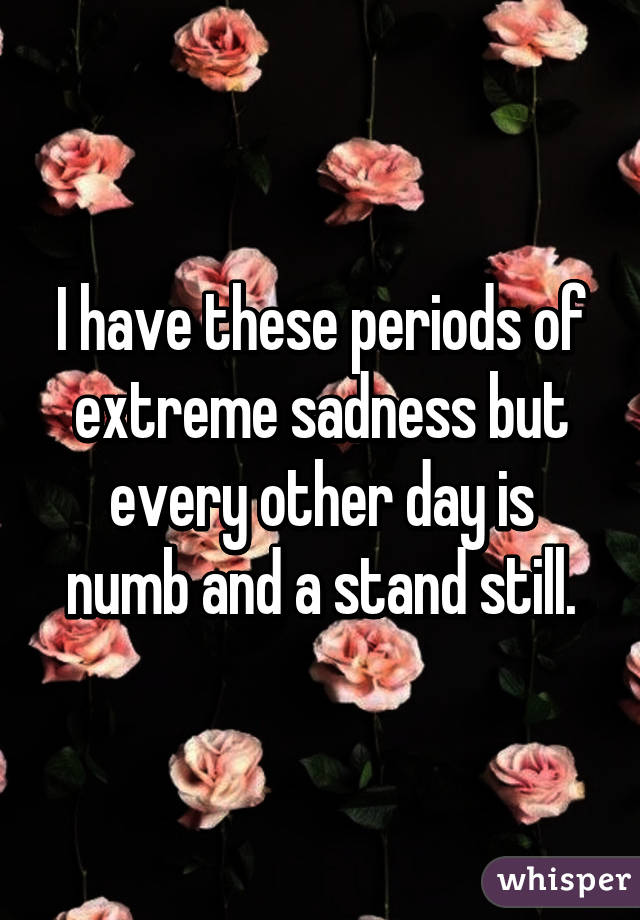 I have these periods of extreme sadness but every other day is numb and a stand still.