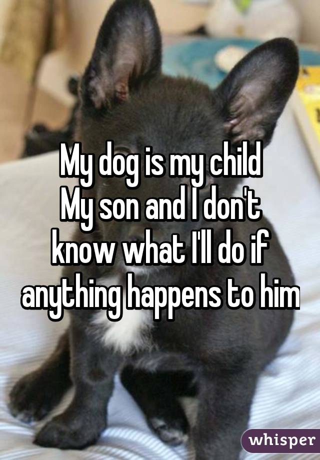 My dog is my child
My son and I don't know what I'll do if anything happens to him