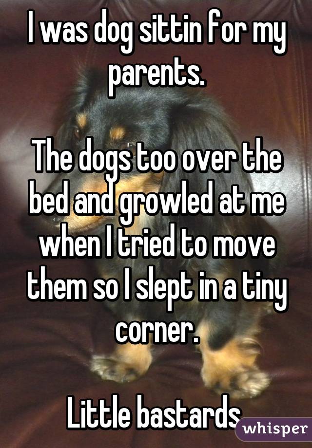 I was dog sittin for my parents.

The dogs too over the bed and growled at me when I tried to move them so I slept in a tiny corner.

Little bastards 