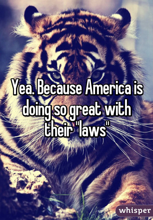 Yea. Because America is doing so great with their "laws"