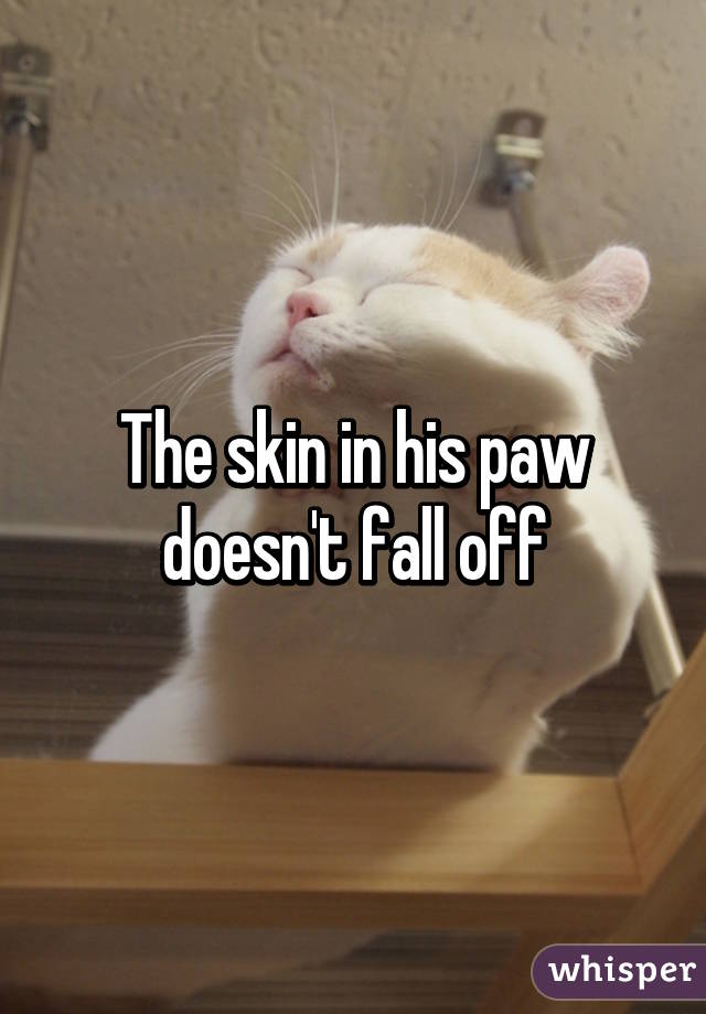 The skin in his paw doesn't fall off