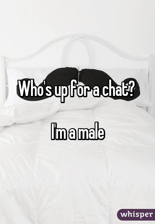 Who's up for a chat? 

I'm a male