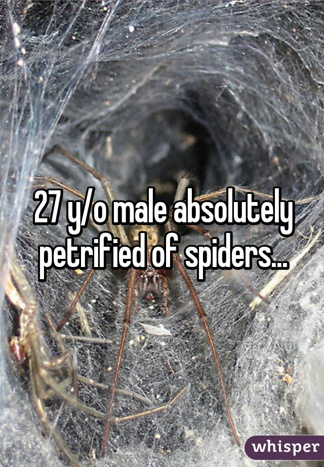 27 y/o male absolutely petrified of spiders...