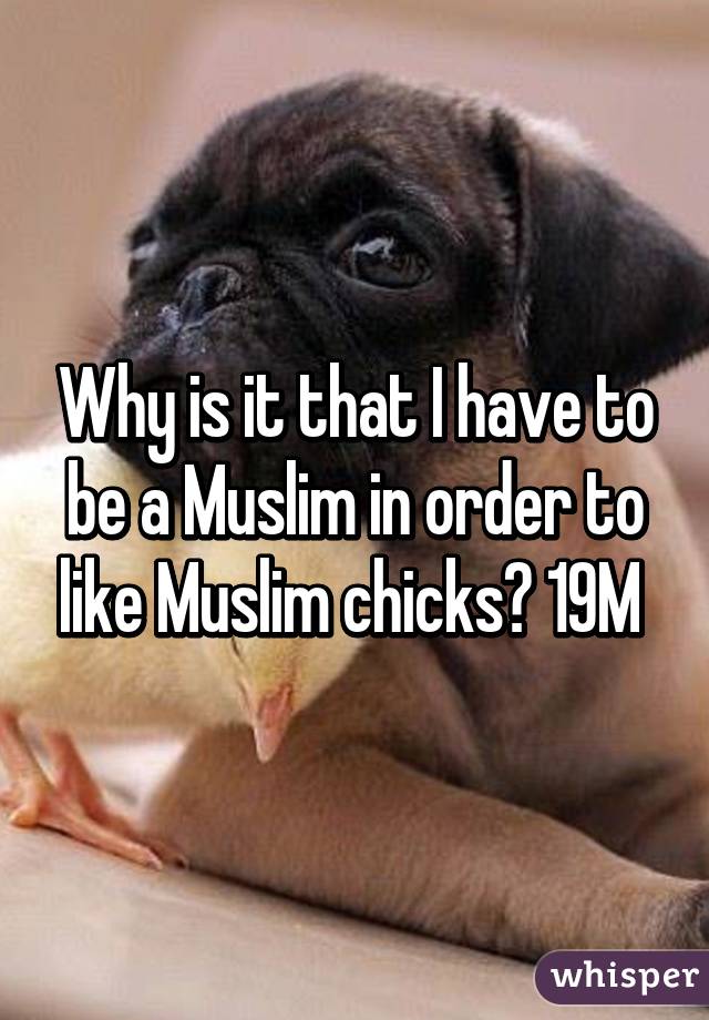 Why is it that I have to be a Muslim in order to like Muslim chicks? 19M 