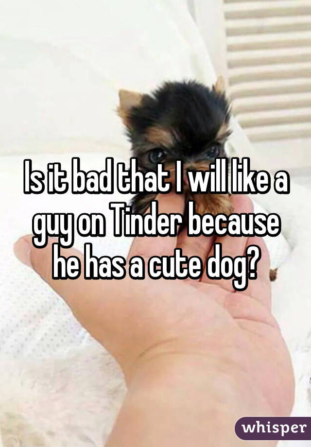 Is it bad that I will like a guy on Tinder because he has a cute dog?