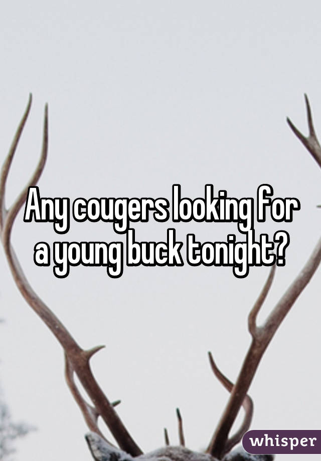 Any cougers looking for a young buck tonight?