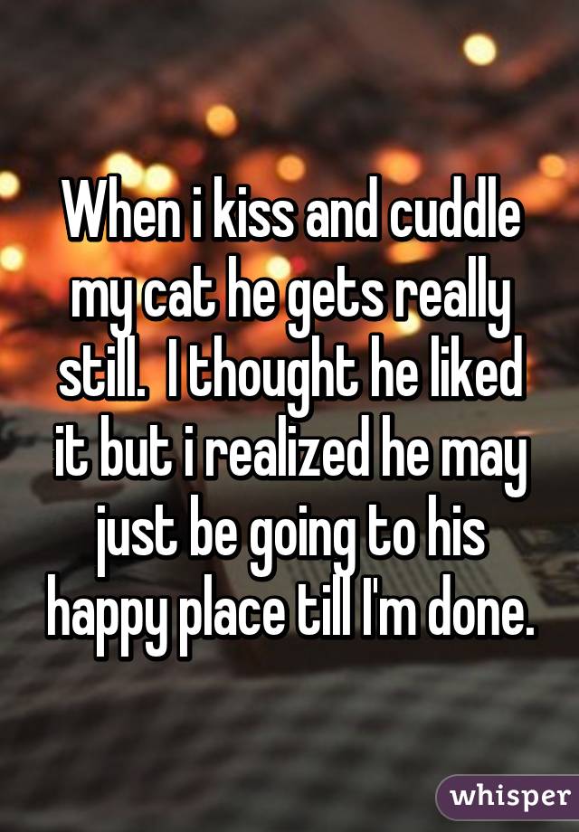 When i kiss and cuddle my cat he gets really still.  I thought he liked it but i realized he may just be going to his happy place till I'm done.