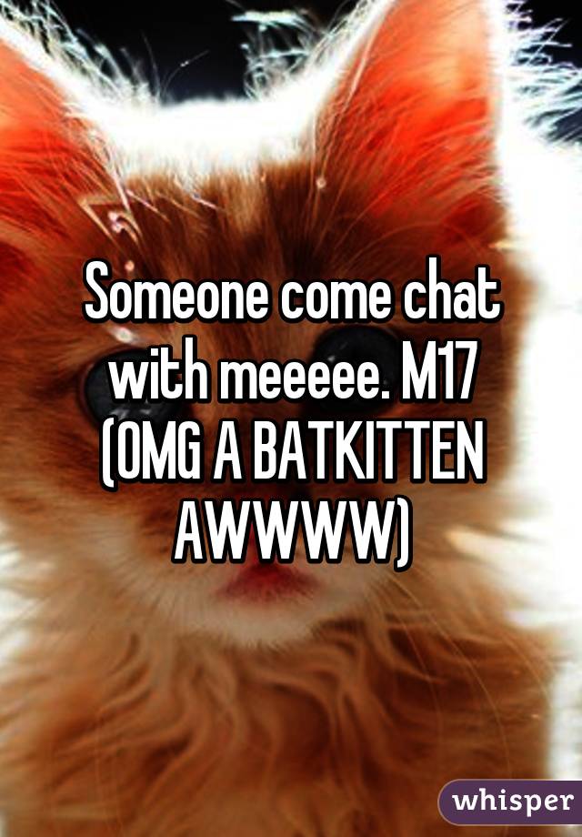 Someone come chat with meeeee. M17
(OMG A BATKITTEN AWWWW)