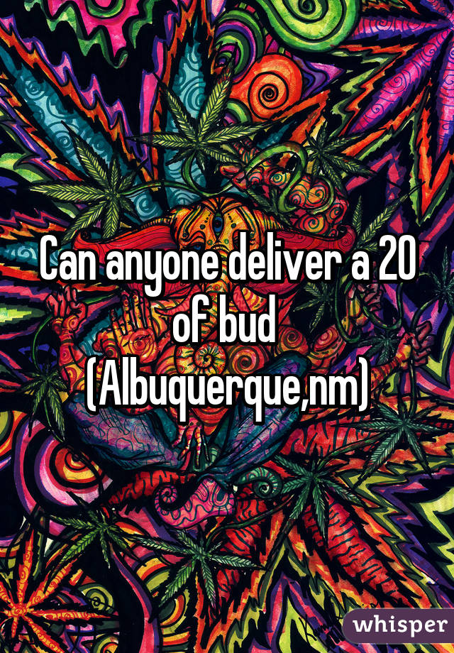 Can anyone deliver a 20 of bud  (Albuquerque,nm)