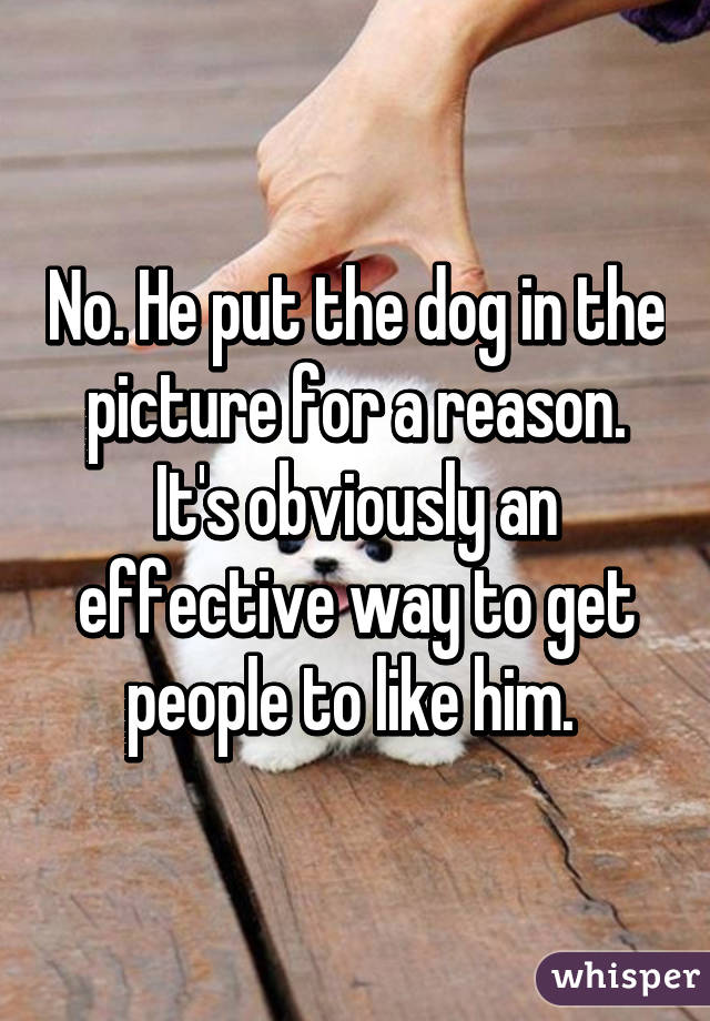 No. He put the dog in the picture for a reason. It's obviously an effective way to get people to like him. 